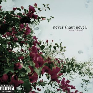 NeverShoutNever! -  [2008 - 2010]