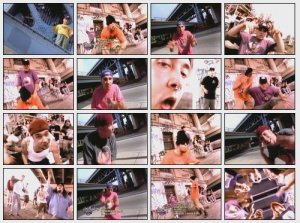 Bloodhound Gang -  [1994-2010]