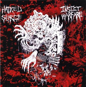 Hatred Surge -  [2005 - 2011]