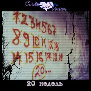 Cardio&#4326;version - 20  (EP) (2011)