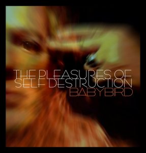 Babybird - The Pleasures Of Self Destruction [2011]