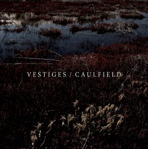 Vestiges & Caulfield - Vestiges/Caulfield (Split) [2012]