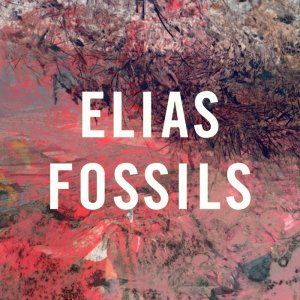 Elias - Fossils [2012]