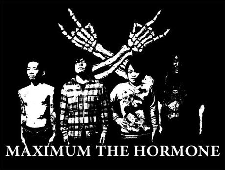 Maximum The Hormone -  [1999-2011]