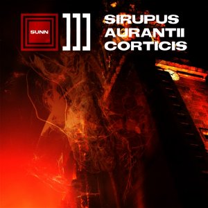 Sunn &#9632;]]] - Sirupus Aurantii Corticis [2013]