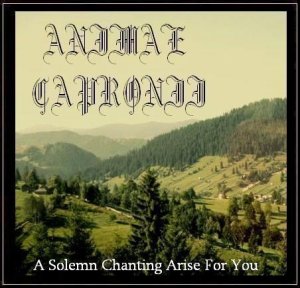   Animae Capronii - A Solemn Chanting Arise For You [2012]