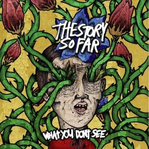 The Story So Far - The What You Don't See [2013]