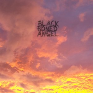 Black Boned Angel - The End [2013]