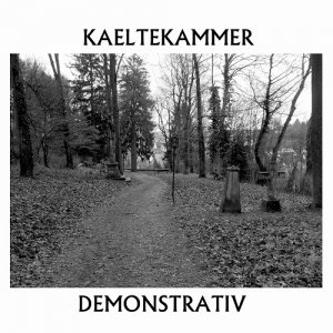 Kaeltekammer - Demonstrativ [2013]