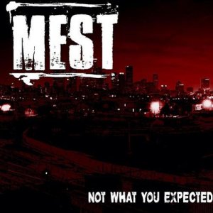 Mest - Not What You Expected [2013]