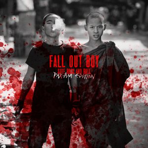 Fall Out Boy - Save Rock And Roll (Limited Edition-2CD) [2013]