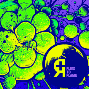 Rosetta - Flies To Flame (EP) [2014]